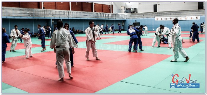 STAGE JUDO MADRID 14 00099